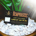 hemphasize gift voucher